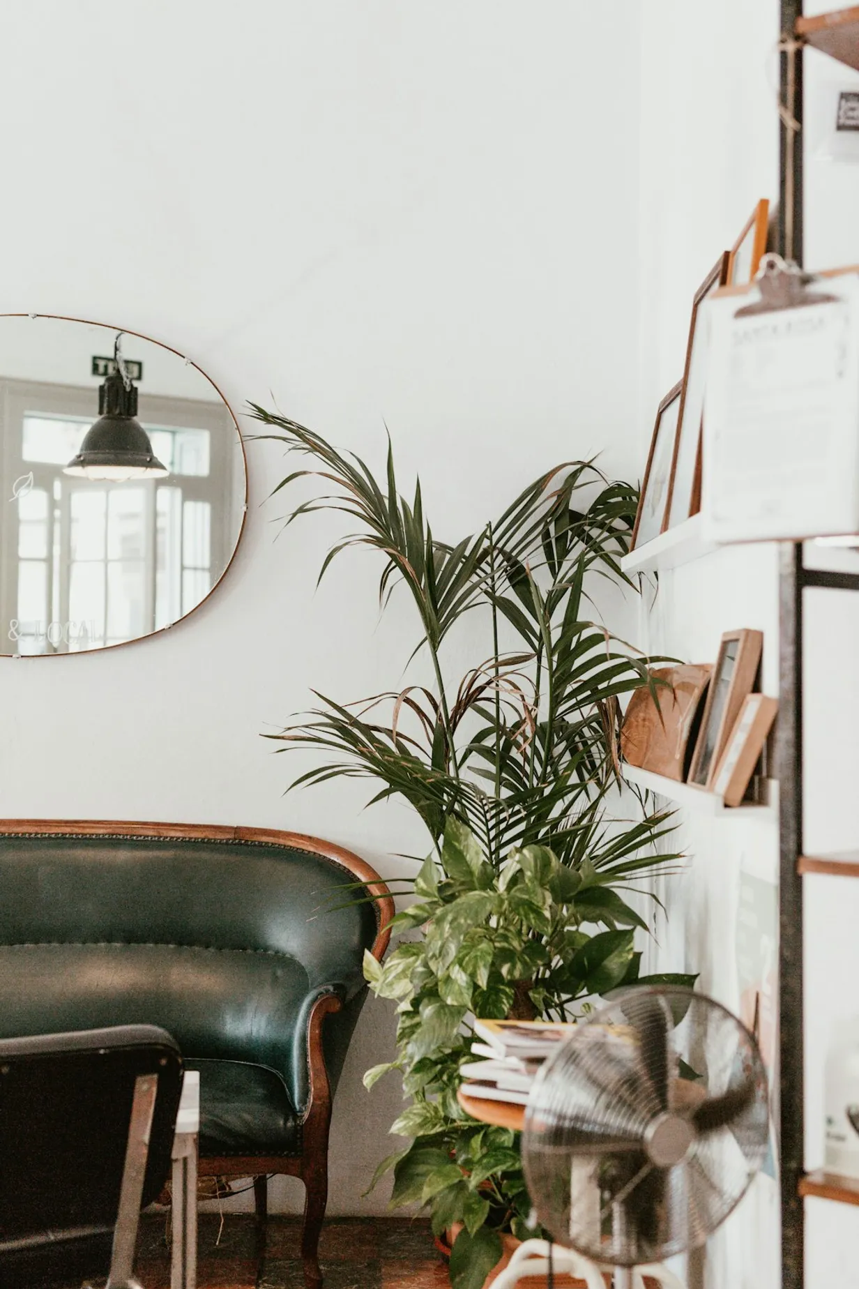 DIY Arch Mirror Hacks: Affordable Ways to Elevate Your DécorIllustration