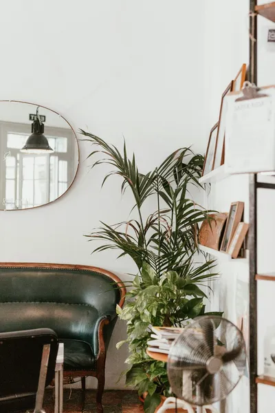 DIY Arch Mirror Hacks: Affordable Ways to Elevate Your DécorIllustration