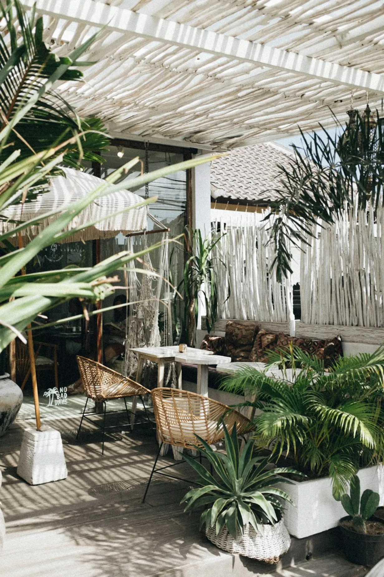 Stylish Outdoors with Artificial Palm TreesIllustration