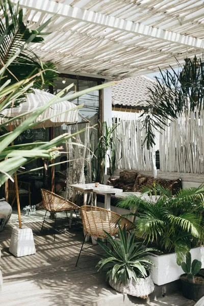 Stylish Outdoors with Artificial Palm TreesIllustration