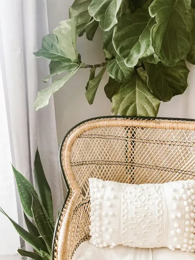 Nature-Inspired Trends: Artificial Bamboo Trees in DécorIllustration